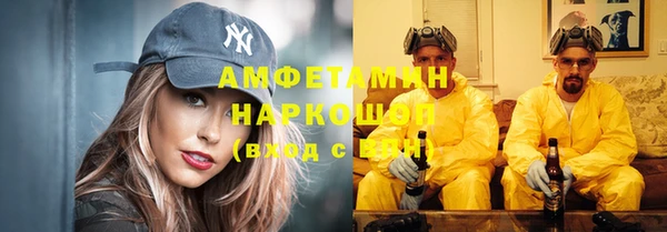 СК Елизово
