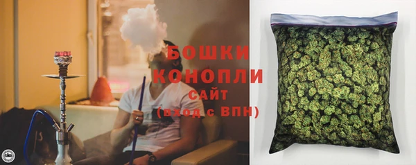 СК Елизово