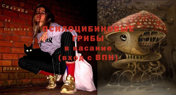 прущая мука Заводоуковск