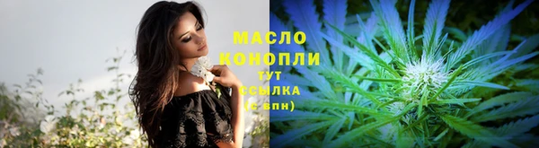 амф Елабуга