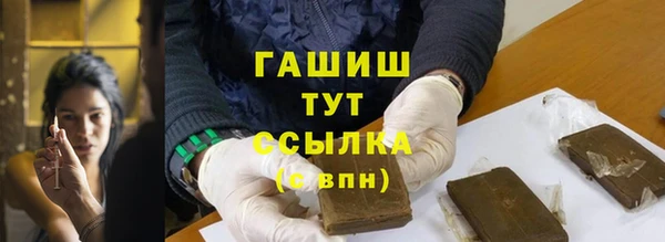 СК Елизово
