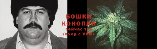 амф Елабуга