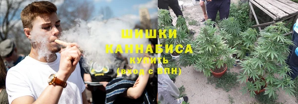 СК Елизово