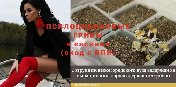 СК Елизово