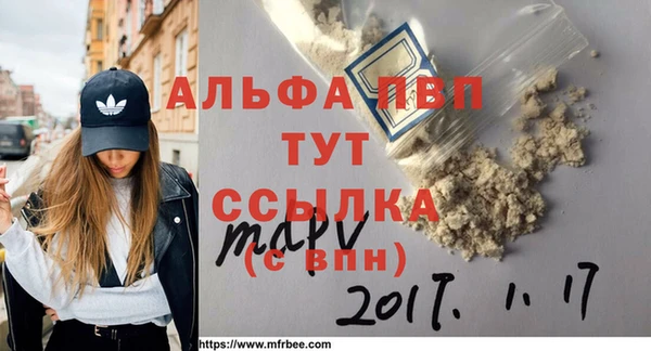 СК Елизово
