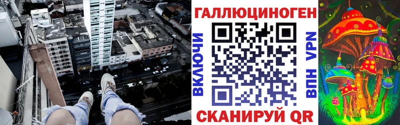 Псилоцибиновые грибы Psilocybe  что такое   Холм 